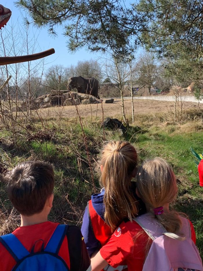 Flekss Terheijden 10 - Beekse Bergen