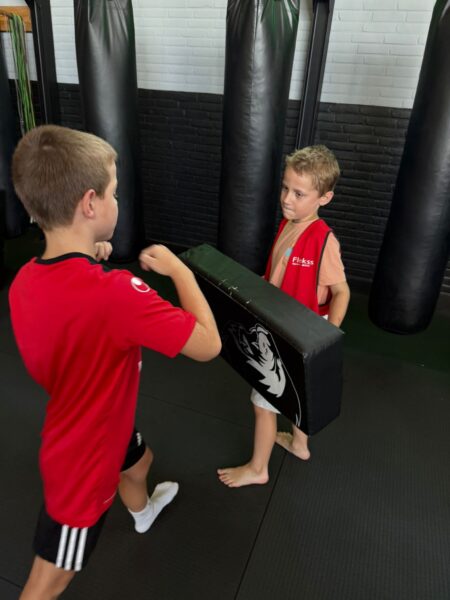 Kickboks kraaienest 2