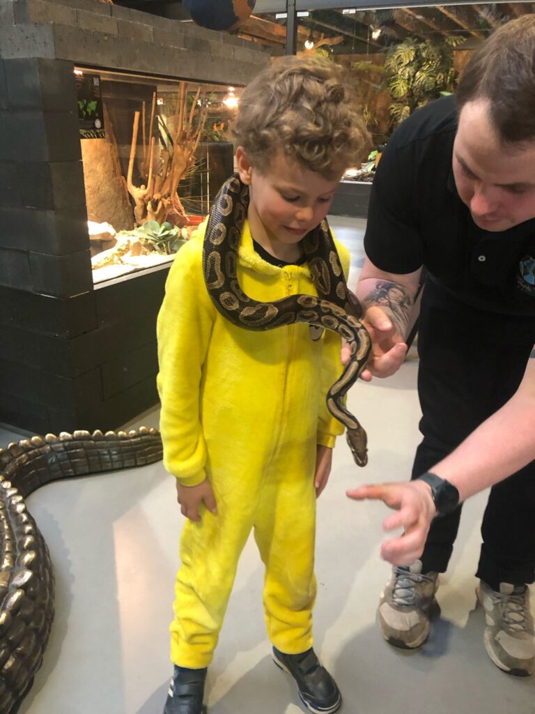 Mathenesse - slang om nek