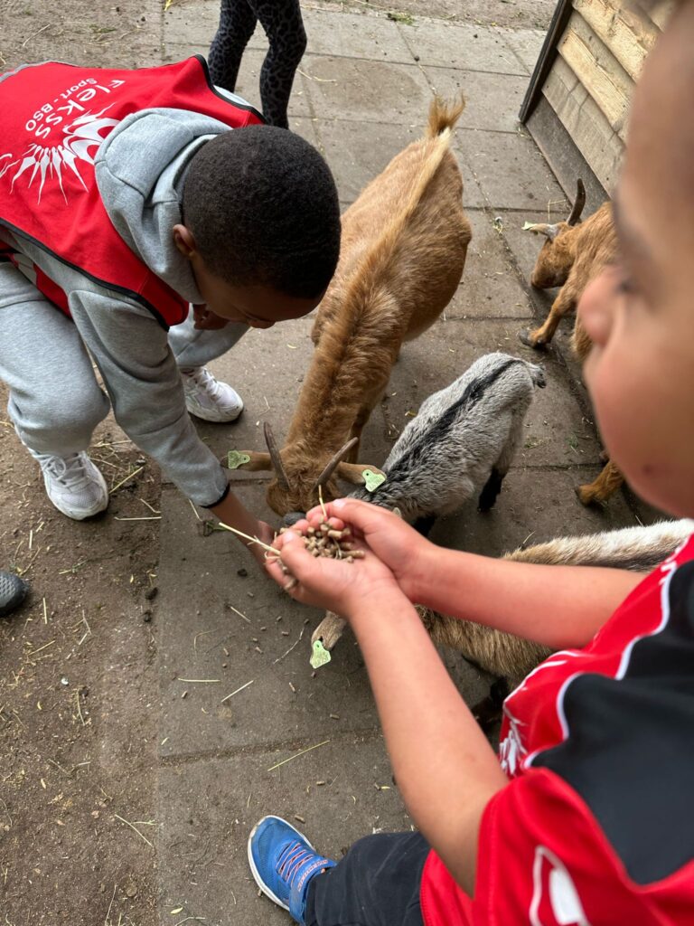 flekss kinderopvang breda