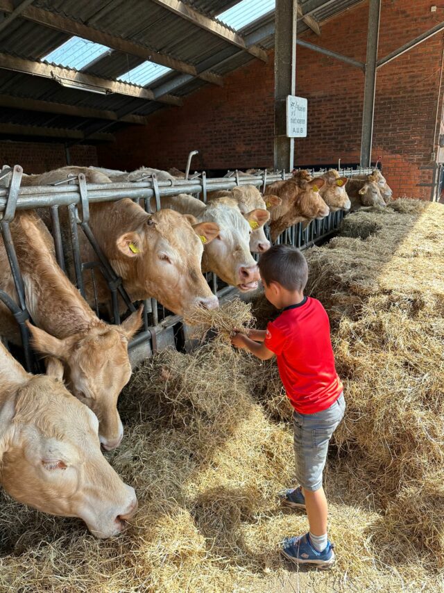 flekss kinderopvang breda