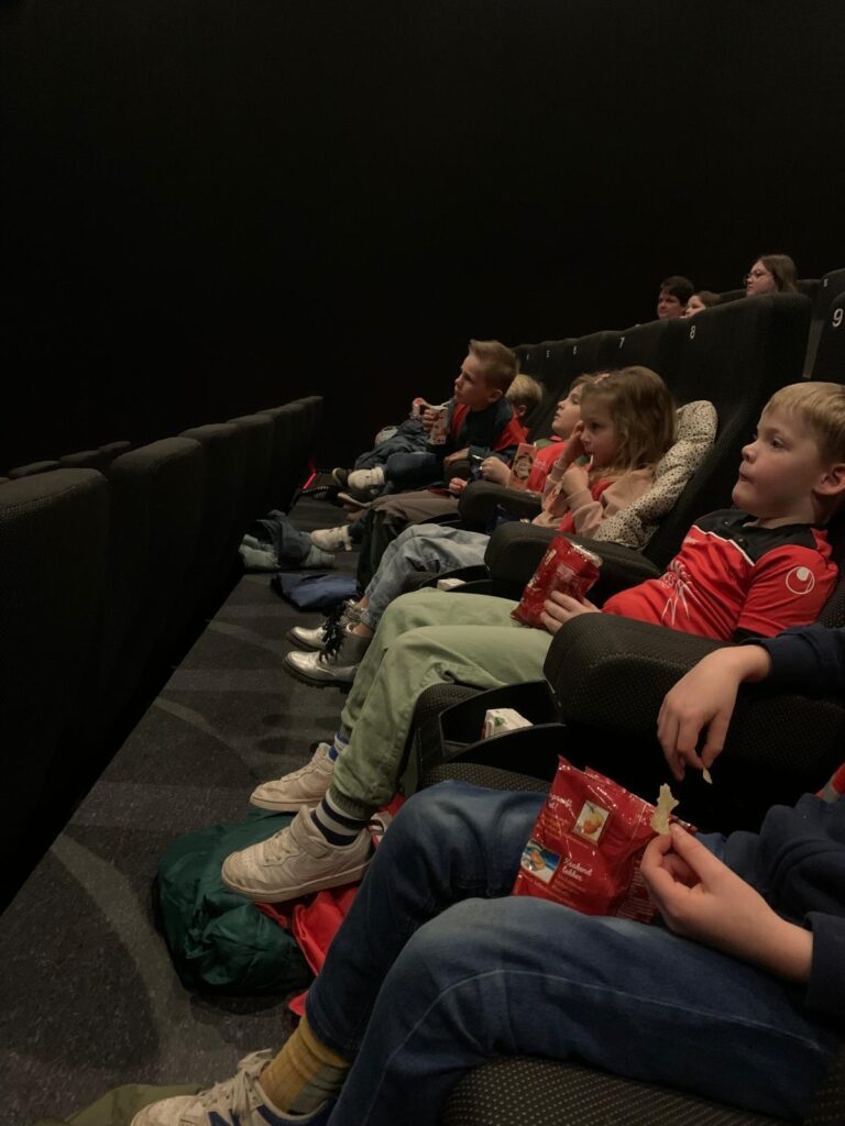 flekss zeggewijzer - bioscoop