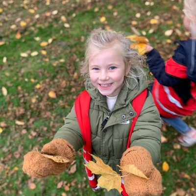 BSO Flekss Zeggewijzer bladeren