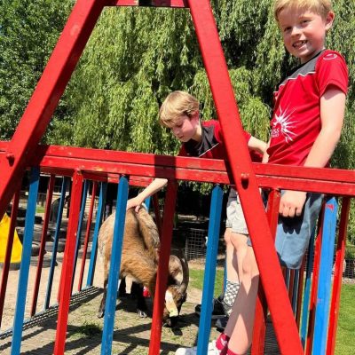 Kinderen spelen met geitjes bij Sport-BSO Flekss
